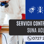 Deratizarea: Mai Mult Decât o Simplă Capcană – O Bătălie Strategică Pentru Sănătate și Siguranță