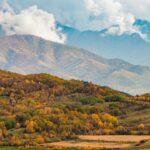 România în 2026 – între inovație, echilibru și redefinire socială