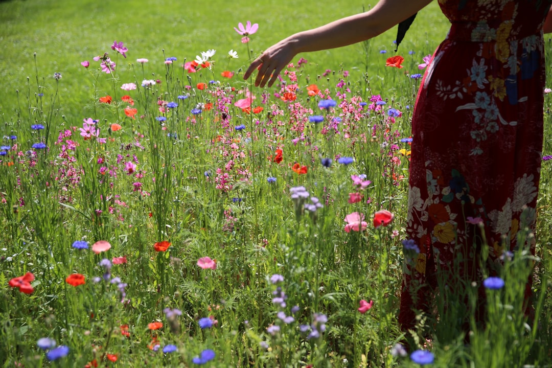 Photo energy feminine