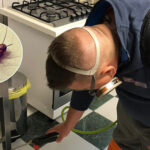 Ce faci când gândacii încep să apară tot mai des în casă