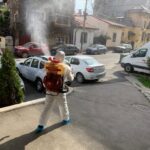 Servicii de dezinsecție profesionale pentru protecție pe termen lung