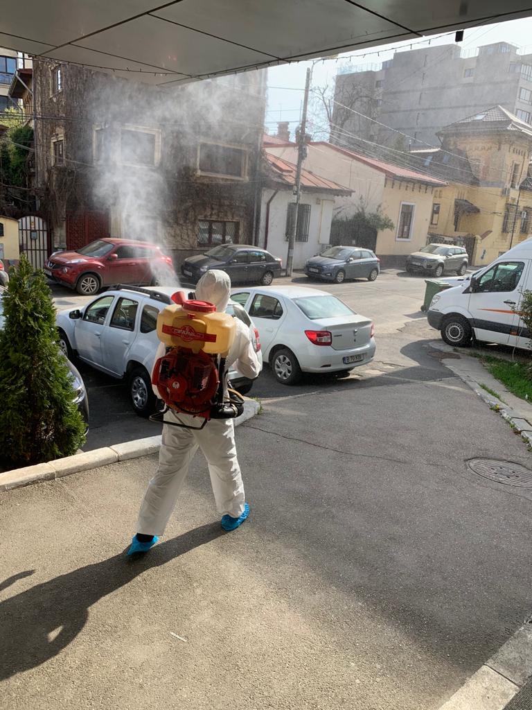 Servicii de dezinsecție profesionale pentru protecție pe termen lung