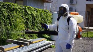 Firma deratizare dezinsectie plosnite – cand ai nevoie de ambele servicii in acelasi timp