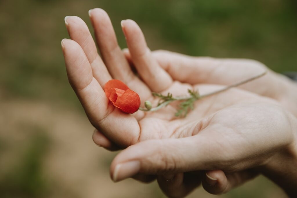 Feminitate autentică: frumusețe fără validare exteră