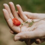 Feminitate autentică: frumusețe fără validare exteră