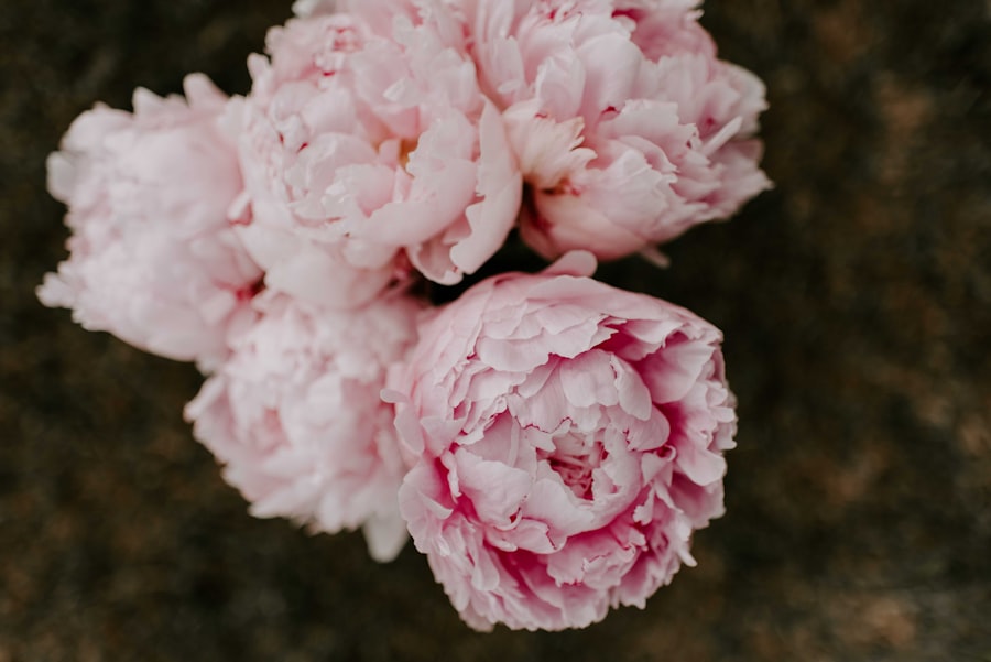 Photo femininity