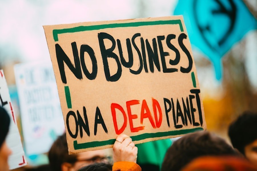 Photo sustainable business model