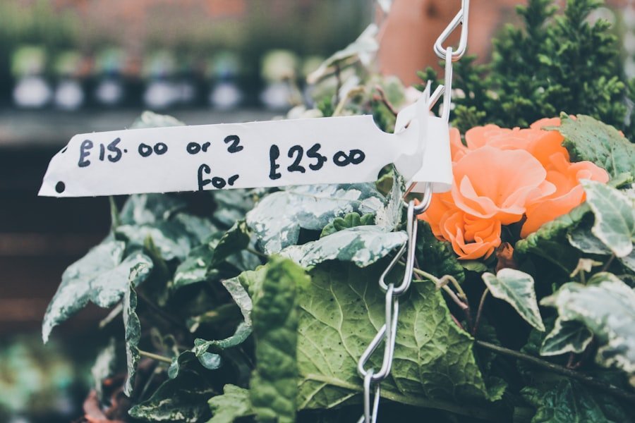 pricing strategies