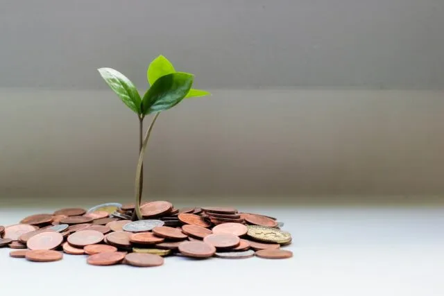 Photo financial sustainability