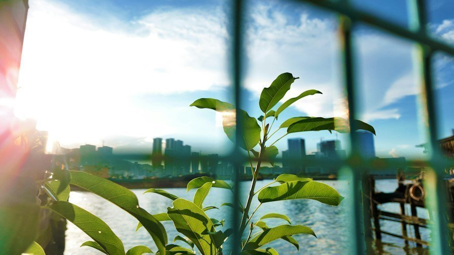 Photo financial sustainability