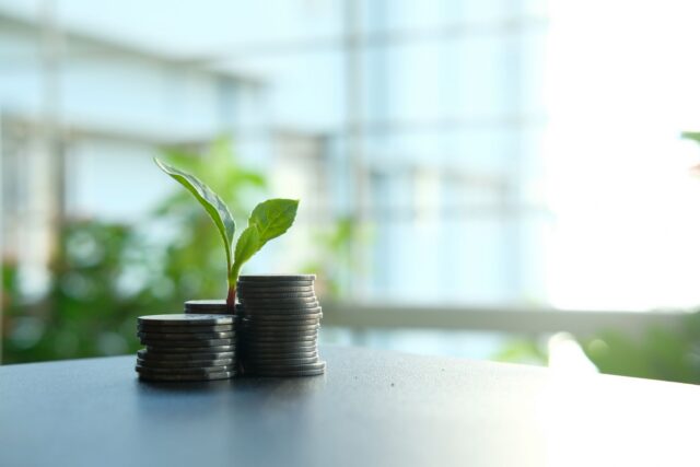 Teancuri de monede de înălțimi crescătoare, cu o plantă mică pe ultimul, ilustrând creșterea economiilor în timp